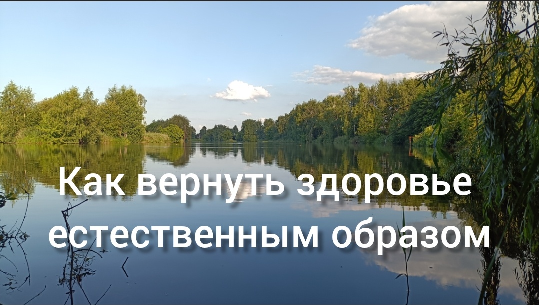 Наше тело это самовосстанавливающаяся система. 