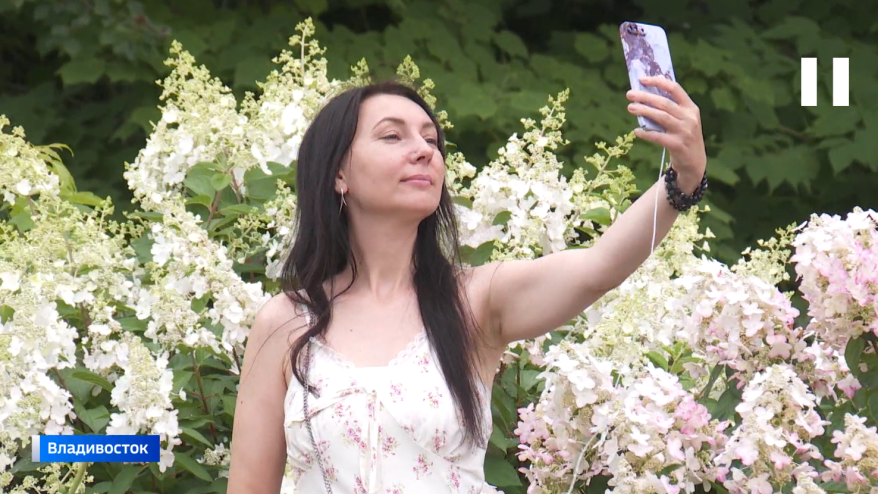 В Приморье на две недели раньше зацвели растения — медоносы