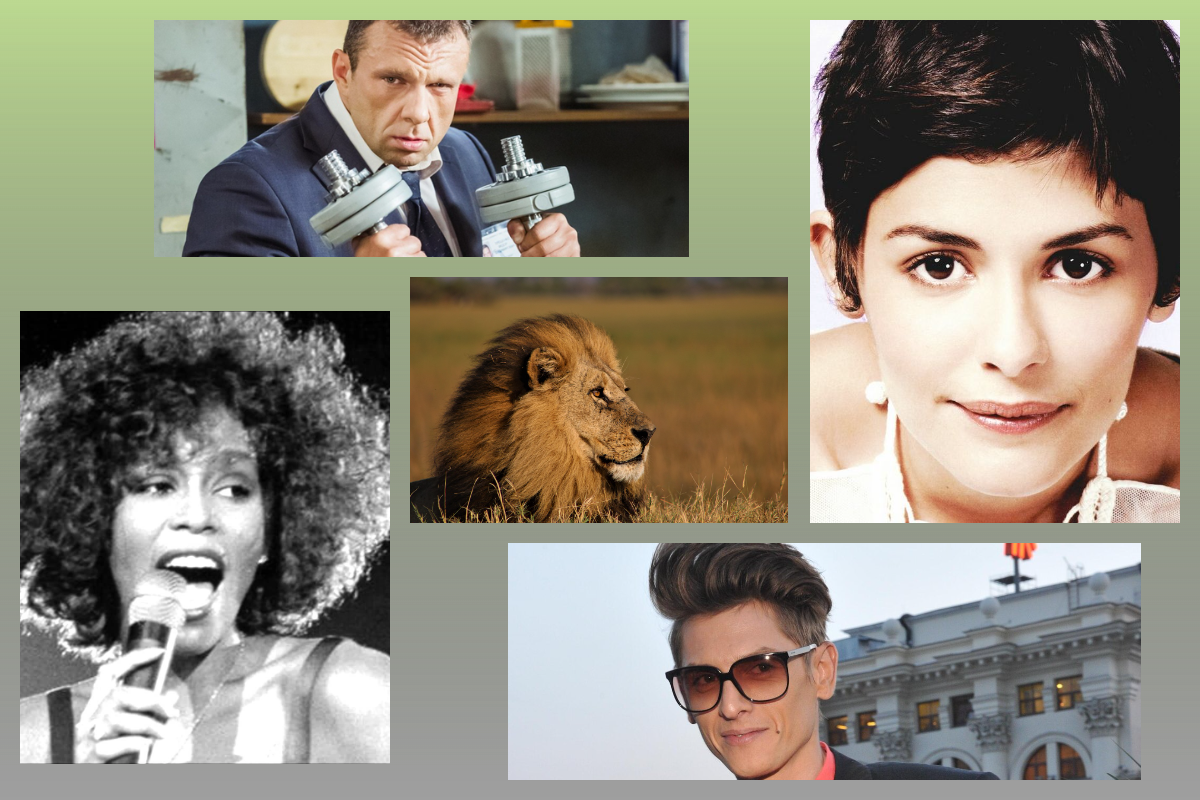 Уитни Хьюстон, Одри Тату, Влад Лисовец, Сергей Терещенко - именинники 9 августа|GlobalLook Express. Лев/pixabay.com