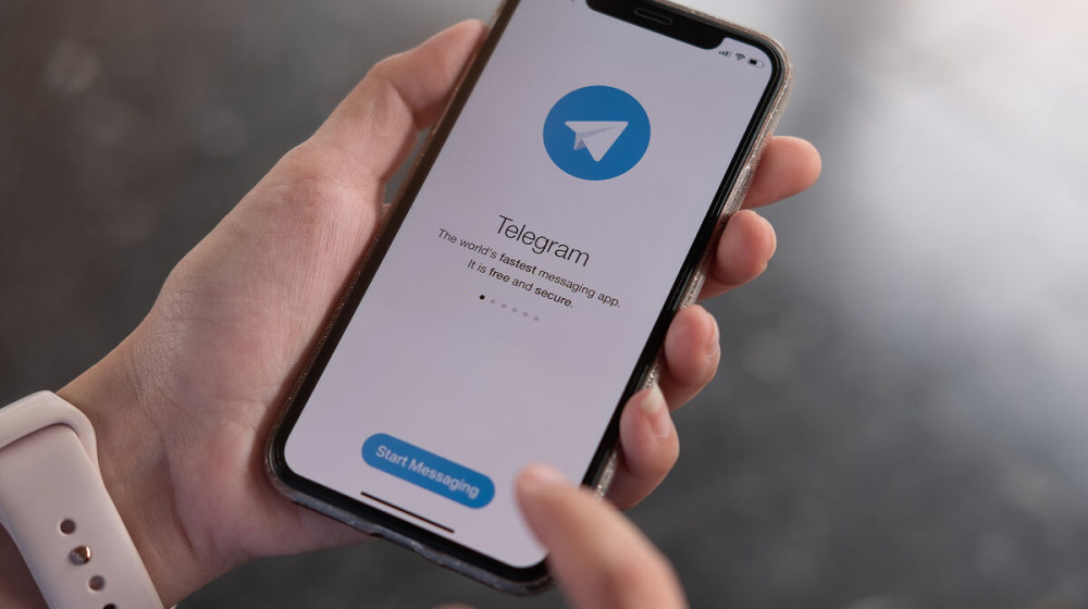    Почему дети ищут краденые данные в Telegram-каналах