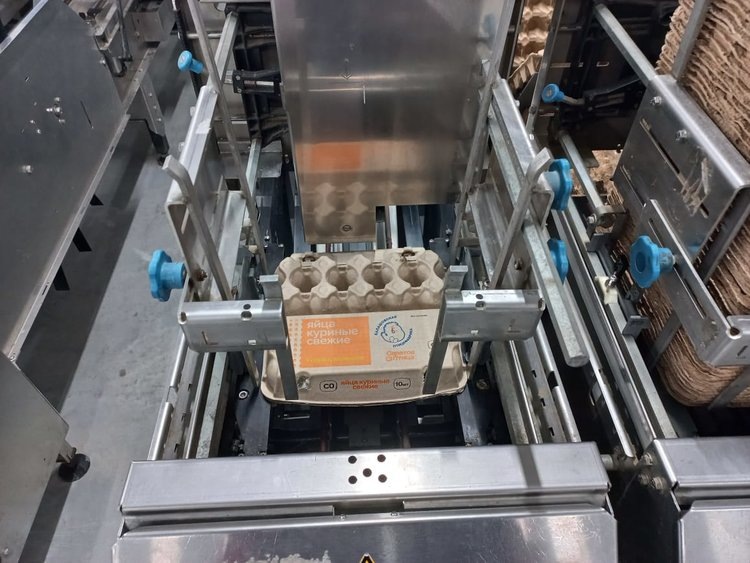    Балашовская птицефабрика нарастит производство куриного яйца на 17 млн штук в год