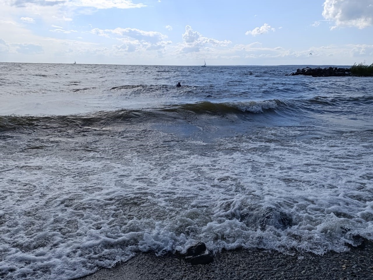    Фото: Светлана СОСНИНА