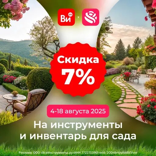   Скидка на инвентарь в августе Мария Казённова