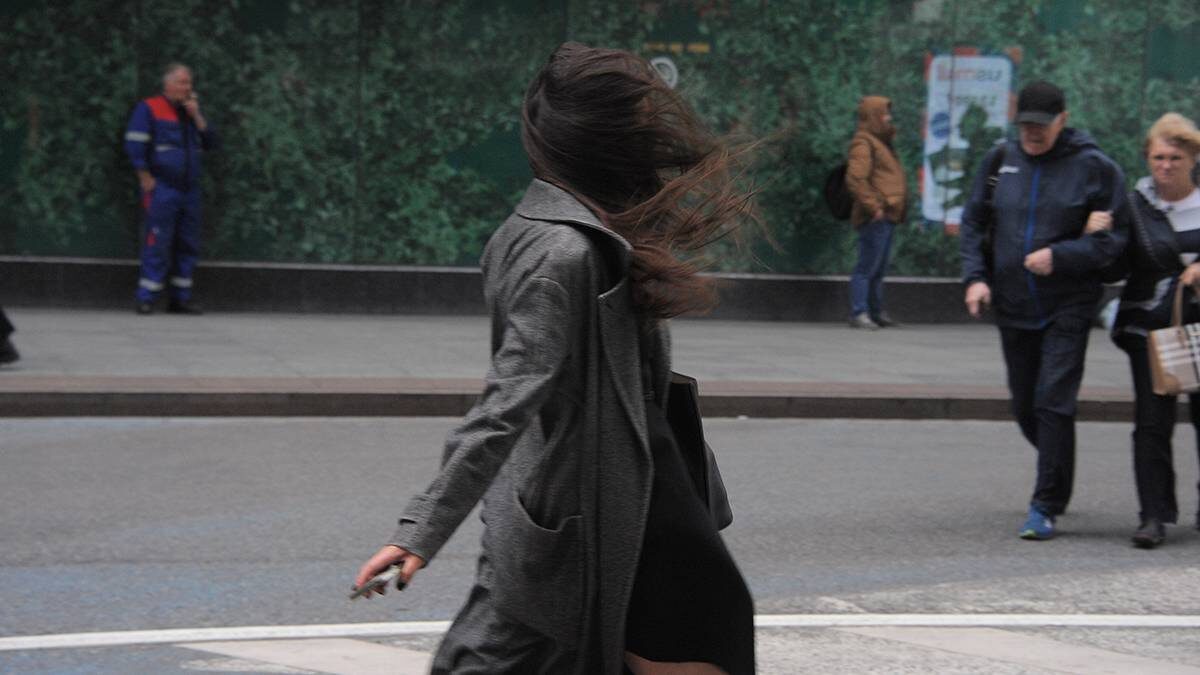    Фото: Пелагия Замятина / Вечерняя Москва