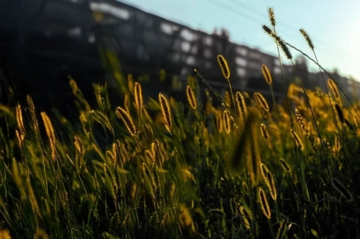    До +25° и небольшие дожди обещают воронежские синоптики в выходные