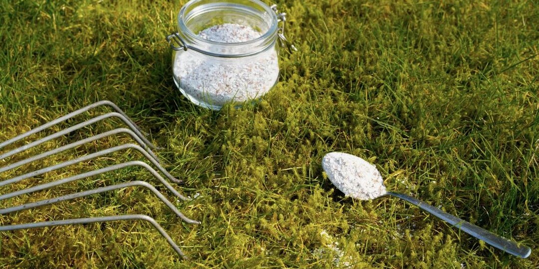 Сода против мха: проверенный способ очистить газон за 3 дня без химии