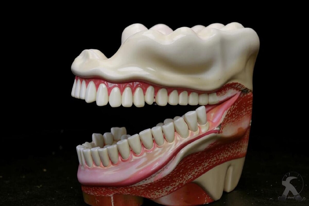    Фото сгенерировано Kandinsky 3.1