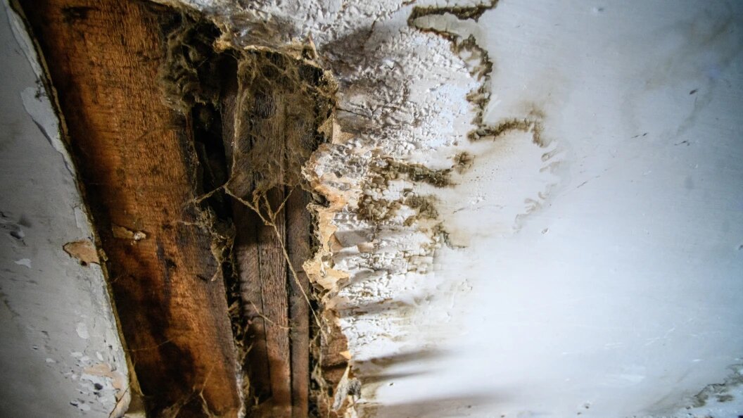    Ilya Moskovets/URA.RU/Globallookpress