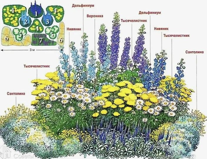 Клумба непрерывного цветения: 5 шагов к идеальному цветнику, который будет радовать с апреля до октября