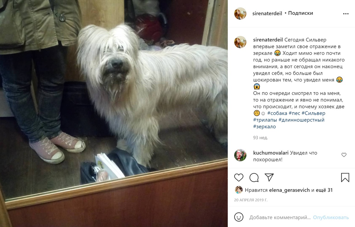 Почти через год после "усыновления"