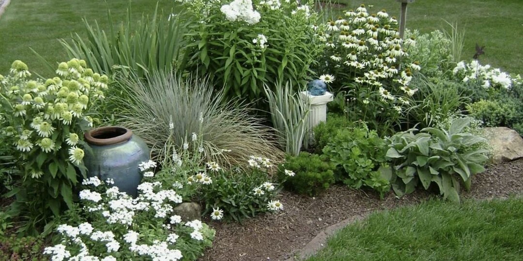 «Ленивый» сад: 10 растений, которые растут сами и цветут с весны до осени