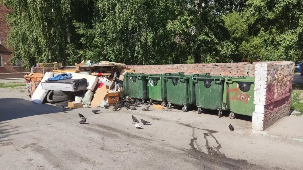    Фото: Царьград Новосибирск