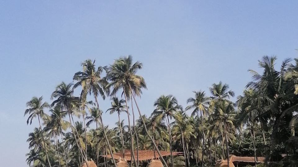 Гоа: Путешествие в райский уголок Индии