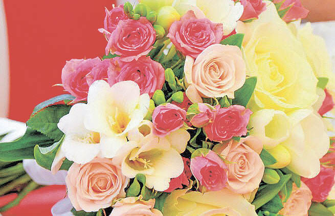 Фото: Гала Амарандо