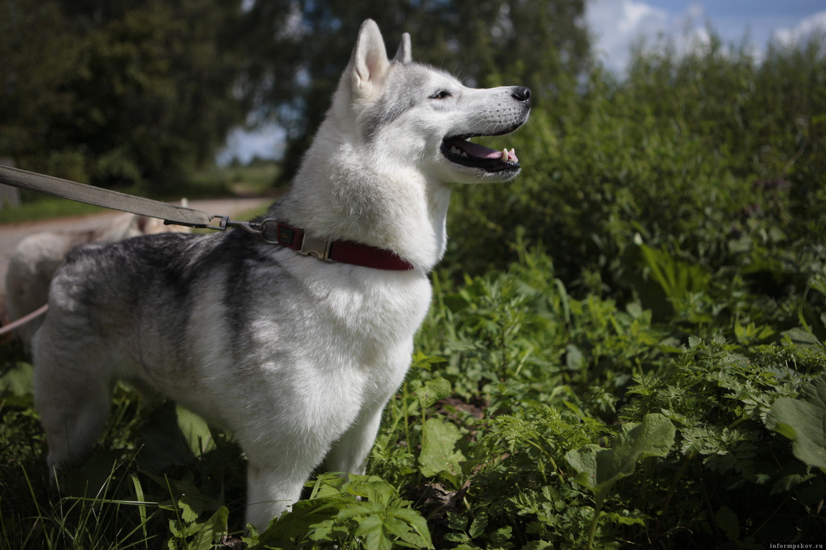 Фото: ПАИ. Фото носит иллюстративный характер