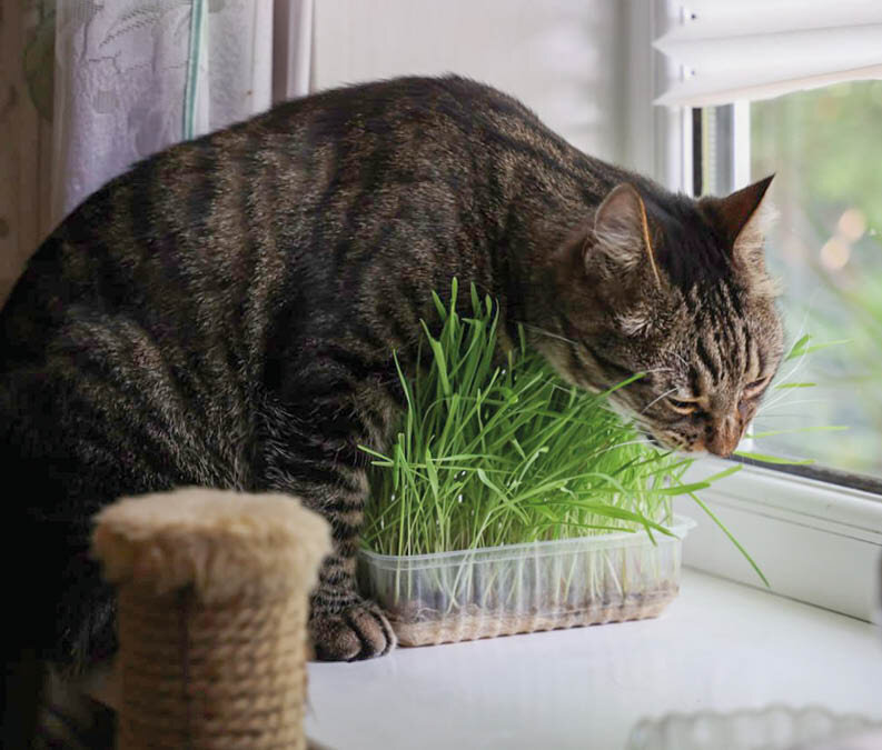 Фото: Михаил Гладчук