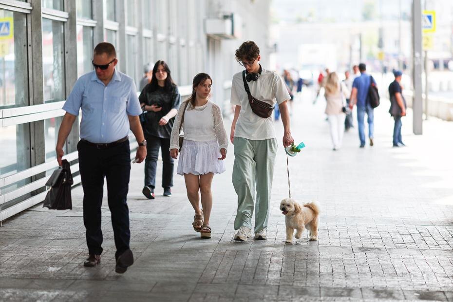    Наталья Шатохина/NEWS.ru