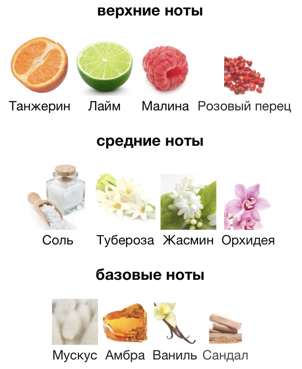 Ольфакторная пирамида с сайта Fragrantica.ru