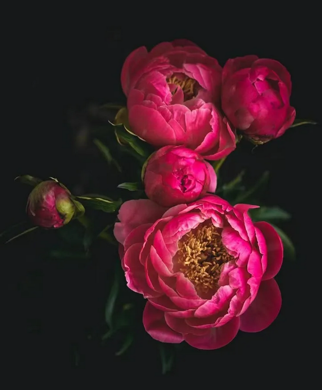 Из интернета.