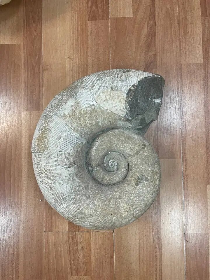    Фото: Московская межрегиональная транспортная прокуратура