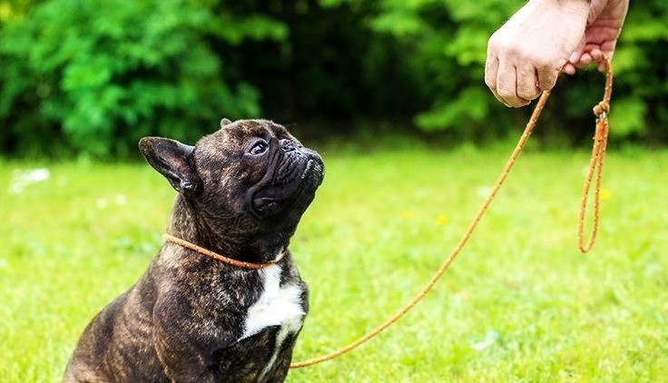 Работать над дисциплиной нужно с первого дня. Я, к сожалению, начал поздно.

