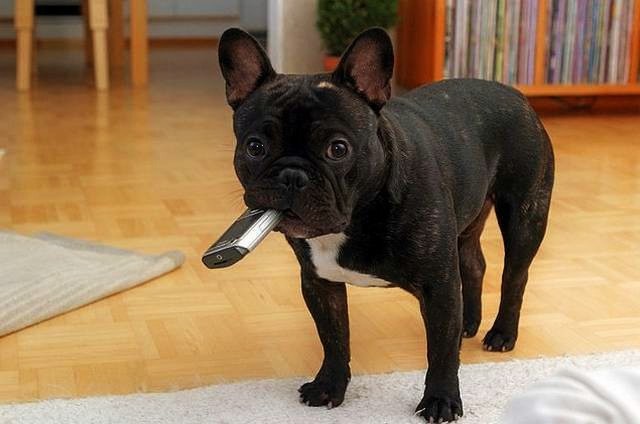 Думаю, такая ситуация знакома многим.
