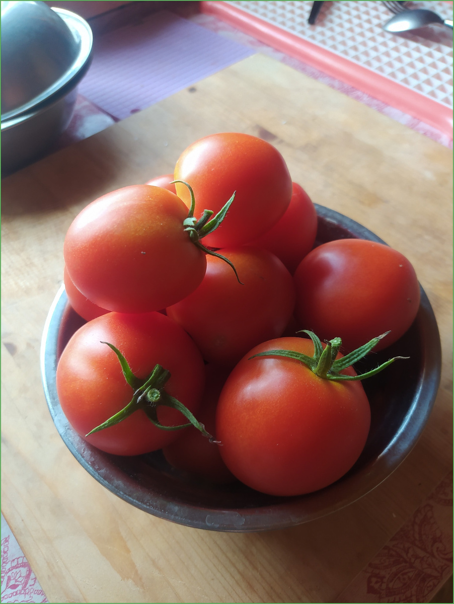 Рис.1 Помидоры «Аляска». На вкус, честно – так себе…