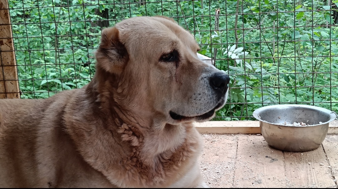 Жизнь на пенсии только начинается