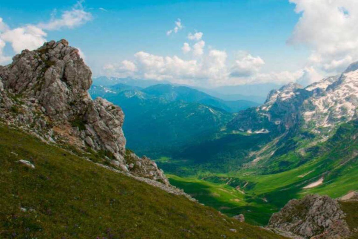    Фото: Кавказский заповедник, источник: sochinews.io