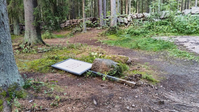 Фото: музей-заповедник "Парк Монрепо"