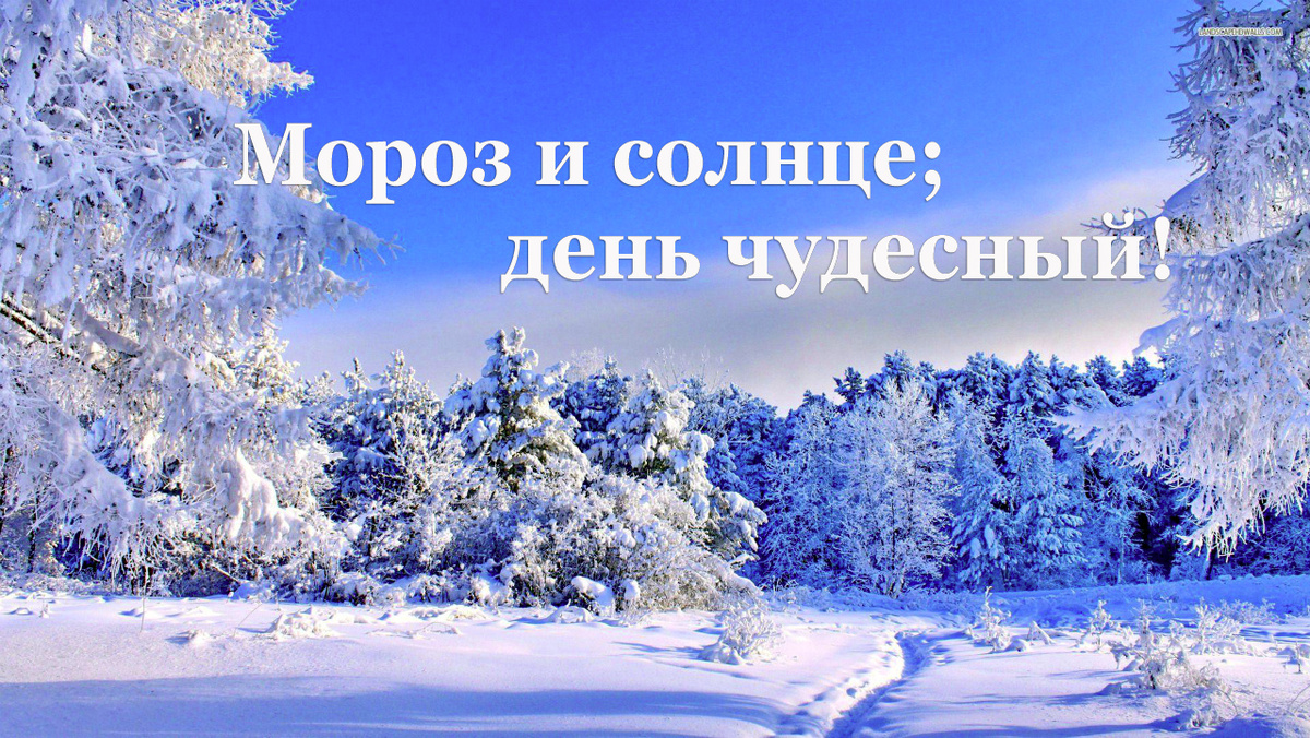 Александр Пушкин. Зимнее утро