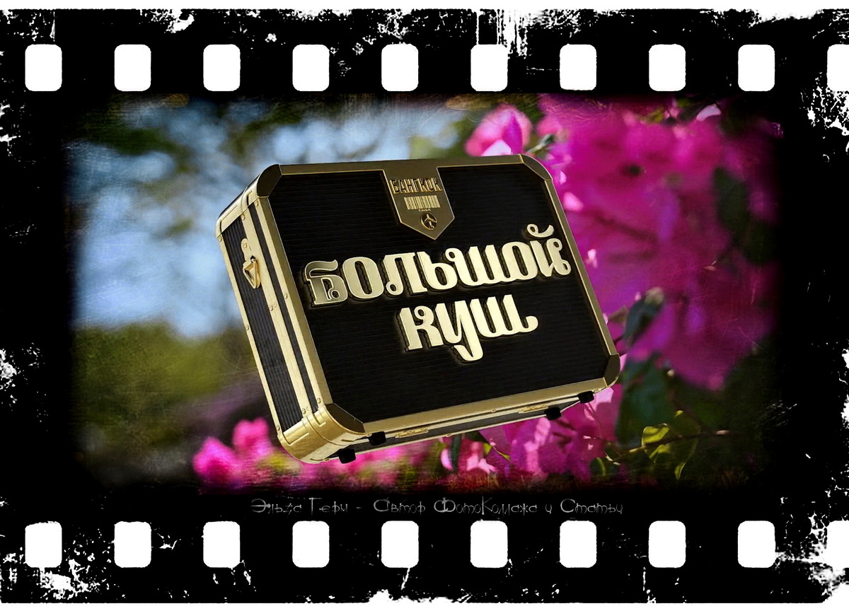 ФотоКоллаж Эльза Герм. "Большой Куш. Бангкок", реалити 2025 г.