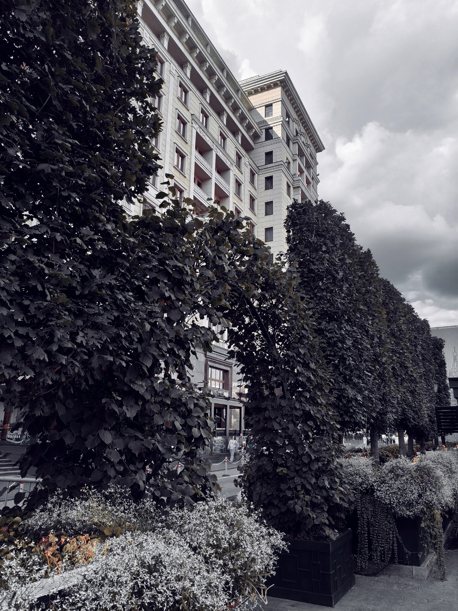 Фото автора.