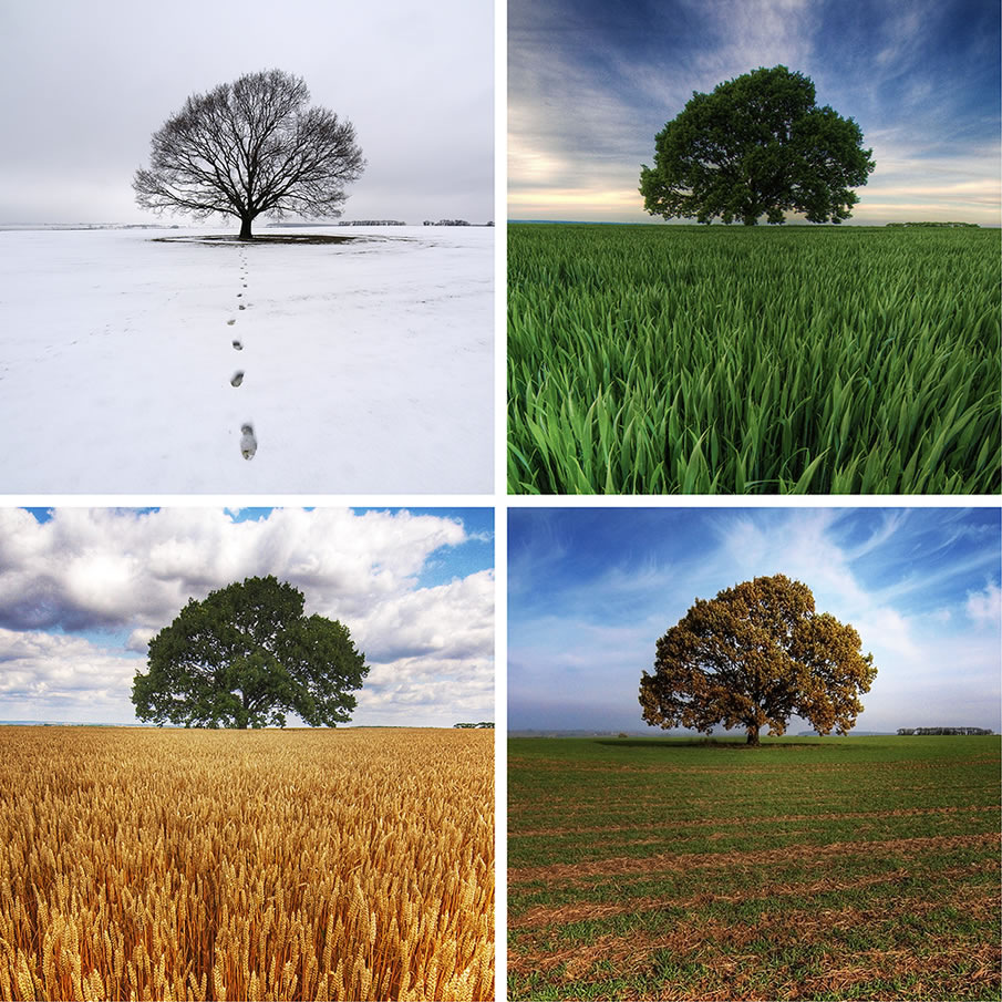 Смена сезонов влияет на множество процессов в окружающем мире и в нас самих, ведь мы сами живая система, неотделимая от природы 