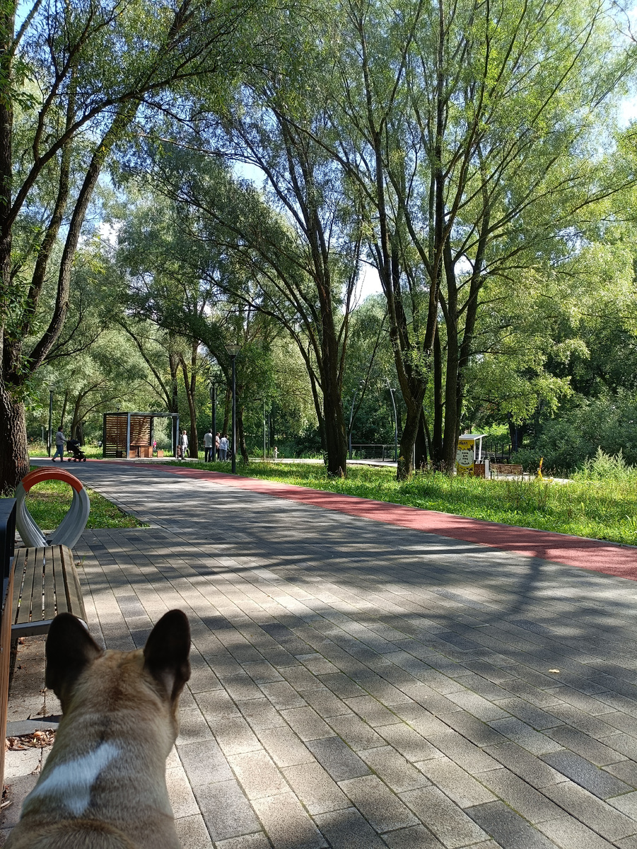 Люблю солнечное, теплое, но не жаркое лето