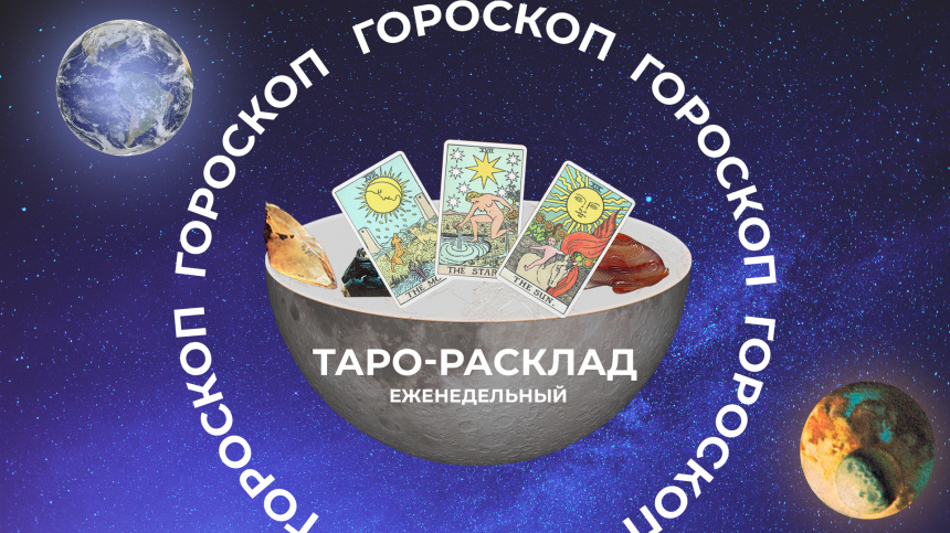    Фото: 5-tv.ru