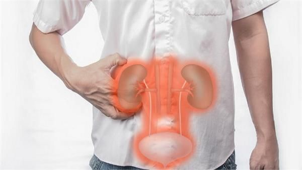Болят почки? Проблемы с мочевым пузырем или мужским здоровьем? Эти советы вам помогут
