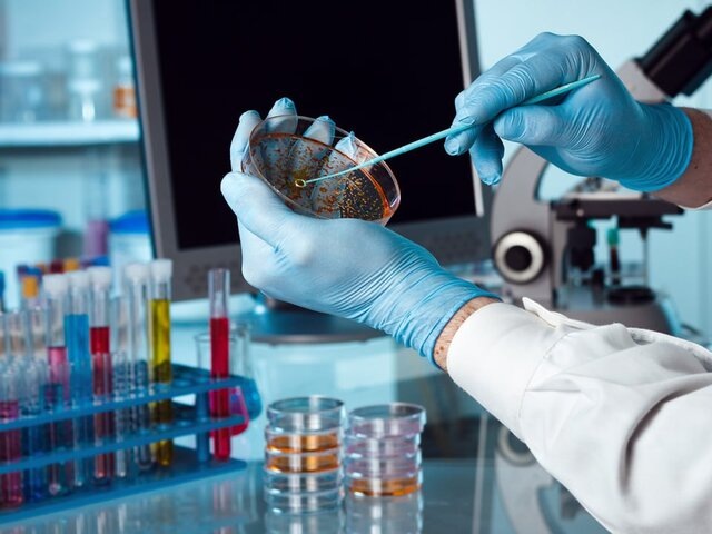    Фото: 123RF/angellodeco