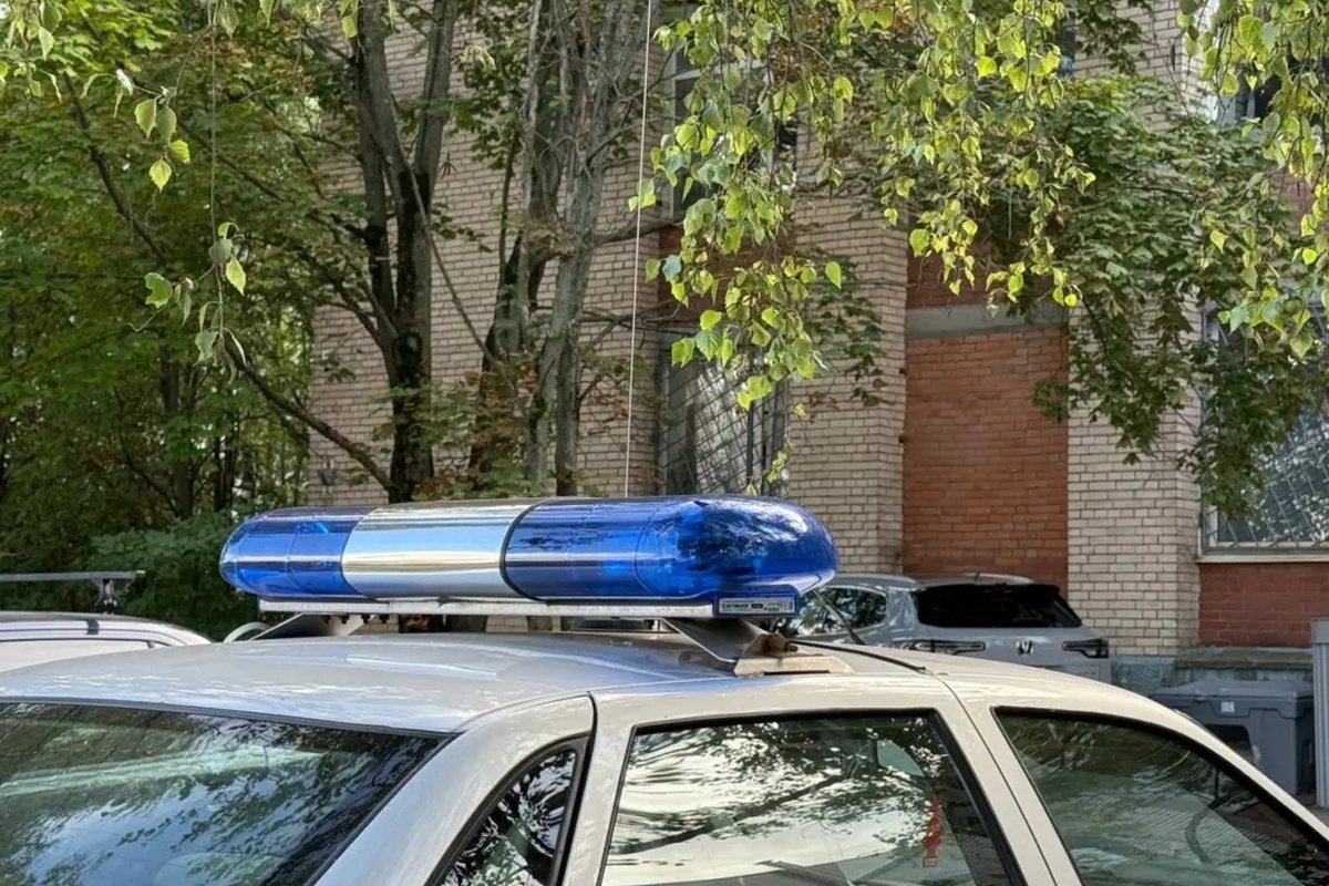    Полиция. Фото: Мойка78, Источник: moika78.ru