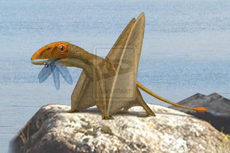 Петейнозавр поймал стрекозу. 