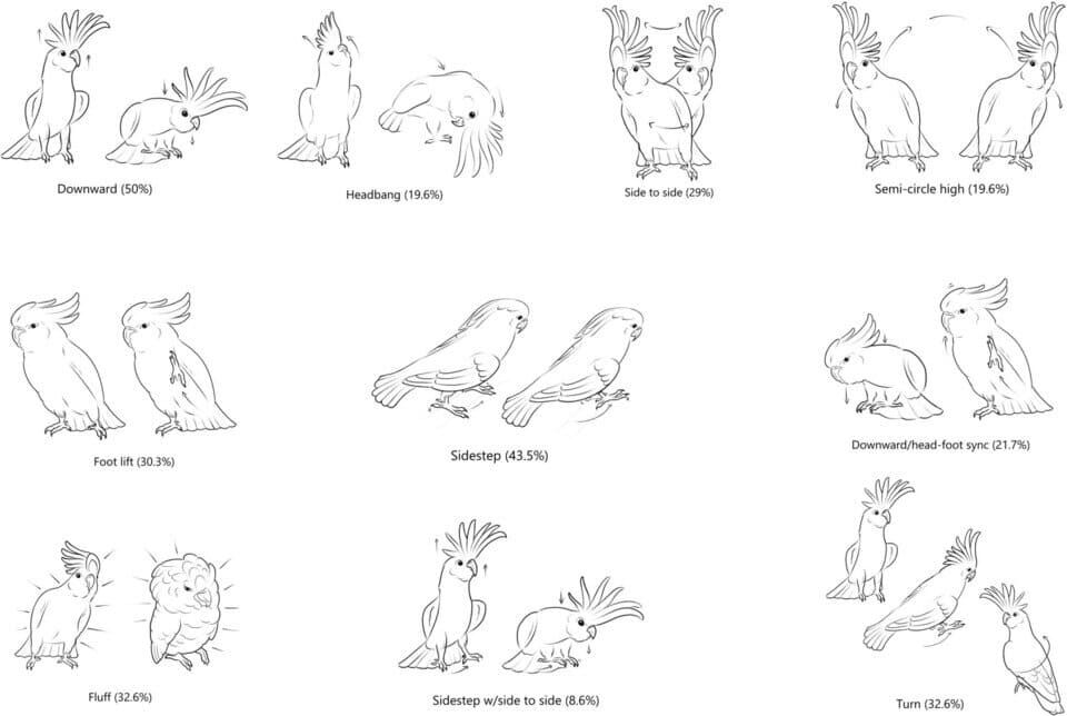   N + 1; Rafael Freire et al. / PLoS One. 2025