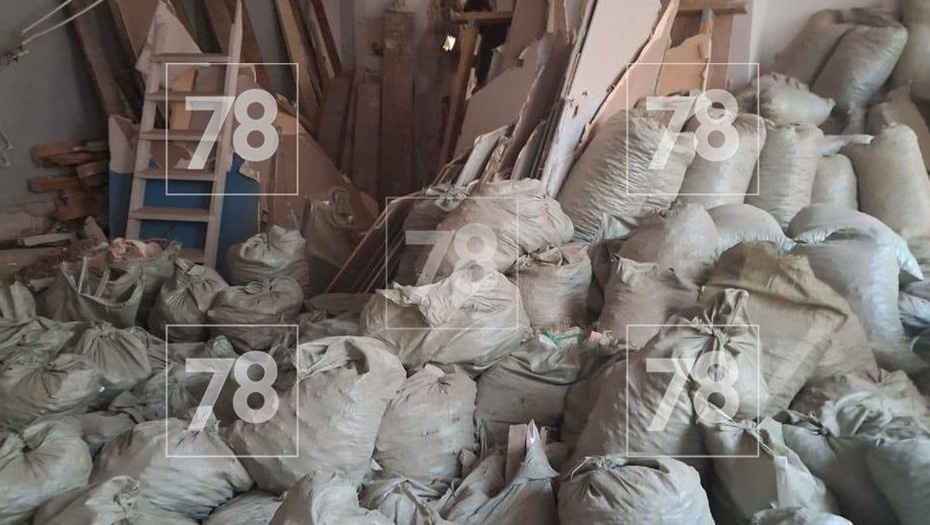    Автор фото: 78.ru