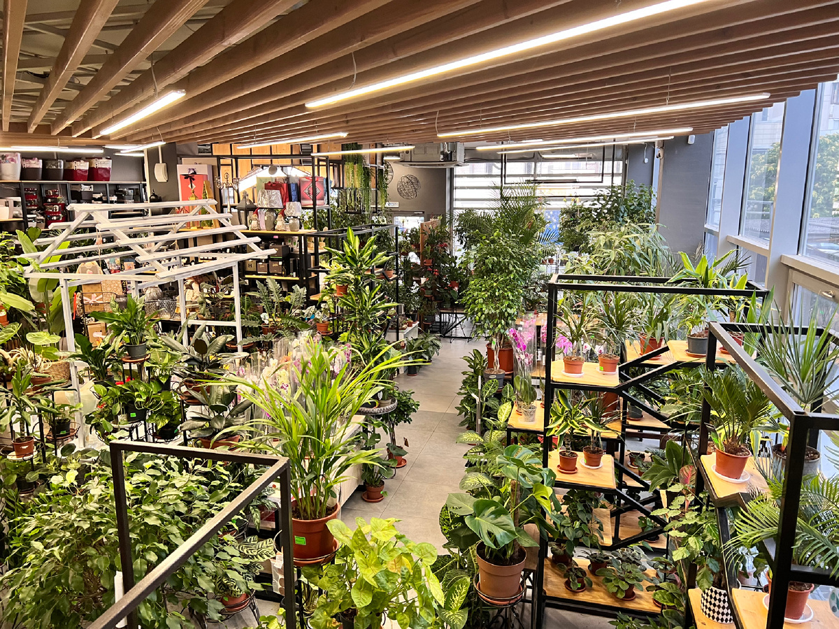 Релакс для глаз. И для души.