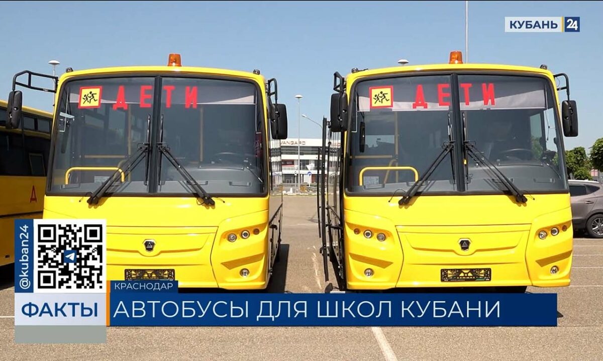    Видео канала «Кубань 24»