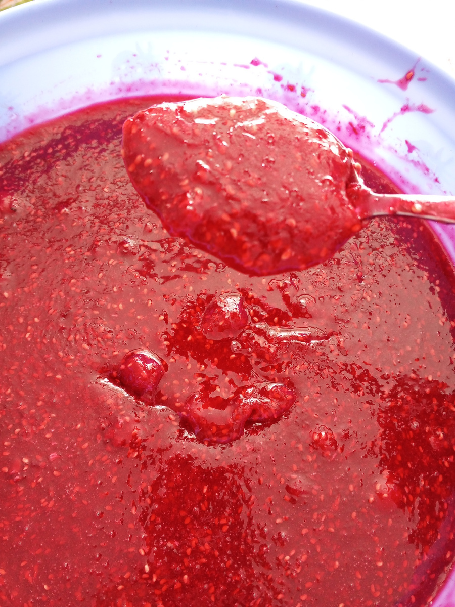 Пастила из свежих ягод без сушилки