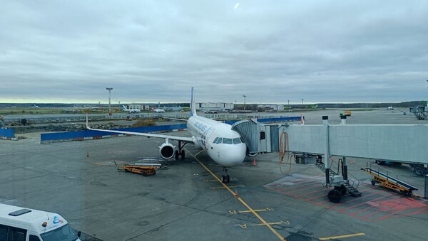    Фото: Александр Выдро/BFM Кубань