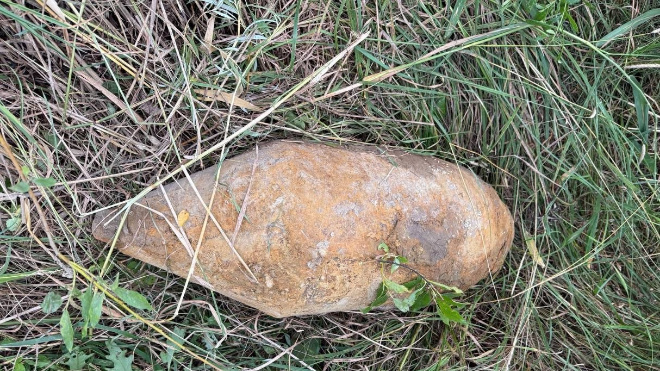 Фото: ГУ Росгвардии по Петербургу и Ленобласти