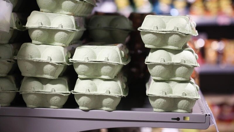      Фото: Дмитрий Ахмадуллин / / ИА «Победа26»