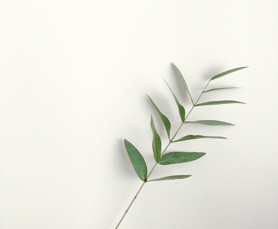 Картинка с Pinterest