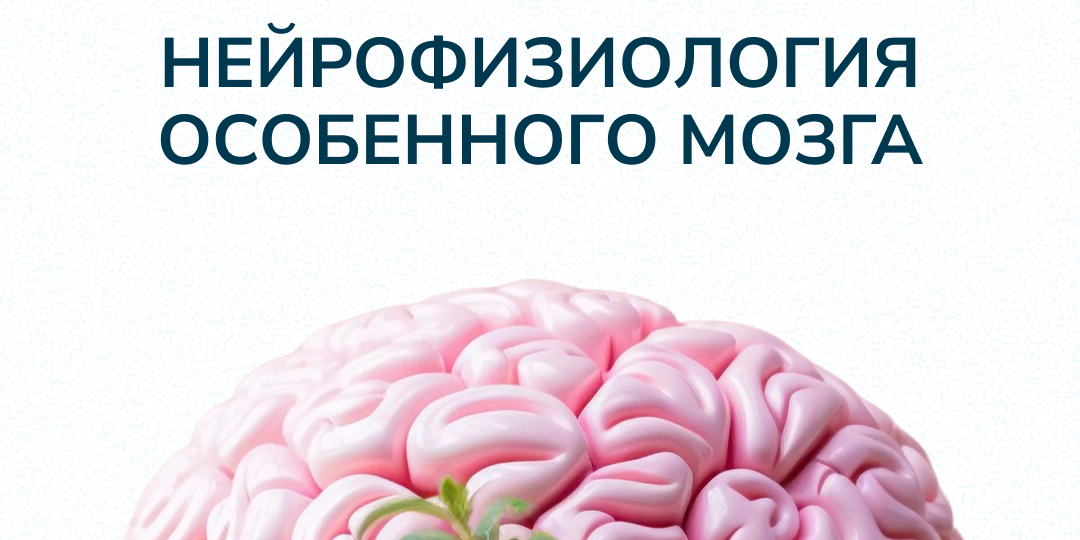 Нейрофизиология мозга особенного ребенка